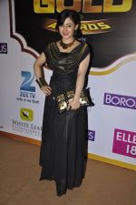 at Gold Awards red carpet in Filmistan, Mumbai on 17th May 2014